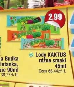 Społem Lody Kaktus oferta