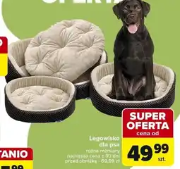 Carrefour Legowisko dla psa oferta