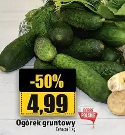 Topaz Ogórek gruntowy 1 kg oferta