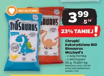 Netto Chrupki kukurydziane bezglutenowe ketchup Biosaurus oferta