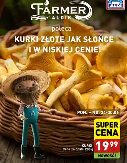ALDI KURKI 200 g oferta