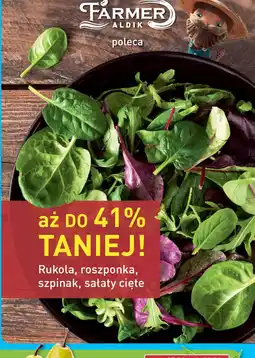 Rukola, roszponka, szpinak, sałaty cięte