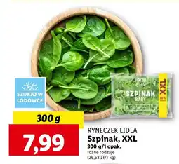 Szpinak młody Ryneczek lidla