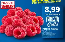 Lidl Maliny oferta