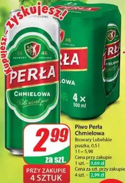 Dino Piwo Perła oferta