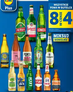 Lidl WSZYSTKIE PIWA W BUTELCE oferta