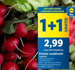 Lidl Polskie rzodkiewki 1 pęczek oferta