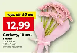 Lidl Gerbery, 10 szt. oferta