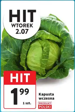 Intermarche Kapusta wczesna oferta