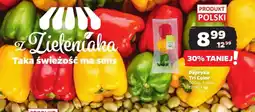 Netto Papryka Tri Color 500 g oferta