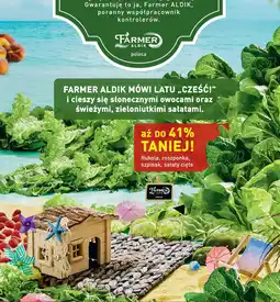 ALDI Rukola, roszponka, szpinak, sałaty cięte oferta