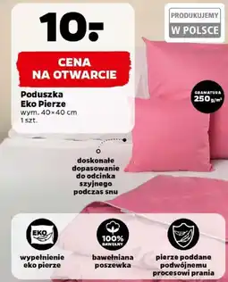 Netto Poduszka Eko Pierze oferta