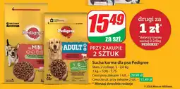 Dino Sucha karma dla psa Pedigree oferta