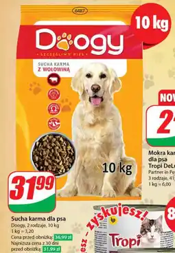 Dino Sucha karma dla psa 10 kg oferta