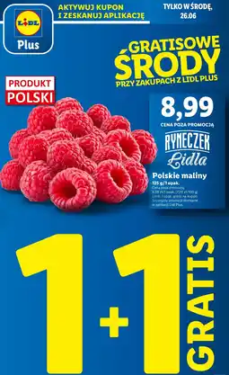 Lidl Maliny Ryneczek lidla oferta