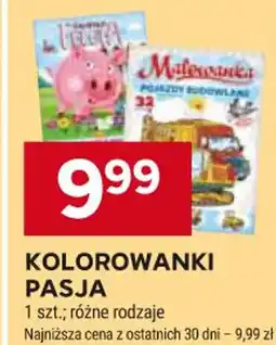 KOLOROWANKI PASJA