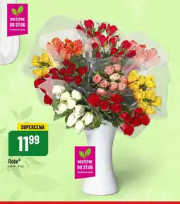 Polomarket Róże 9 szt. oferta