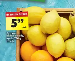 Biedronka Cytryna na lemoniadę 750 g oferta