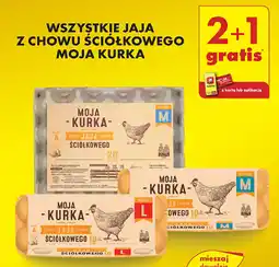 Biedronka WSZYSTKIE JAJA Z CHOWU ŚCIÓŁKOWEGO MOJA KURKA oferta