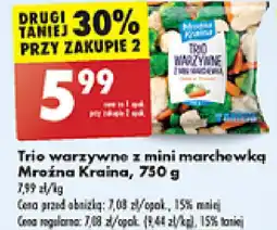 Biedronka Trio warzywne z mini marchewką Mroźna Kraina 750 g oferta