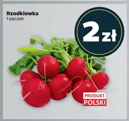 Netto Rzodkiewka oferta