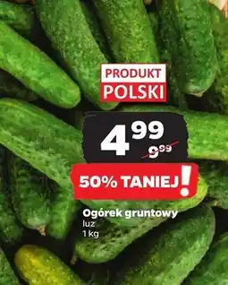Netto Ogórek Polski oferta