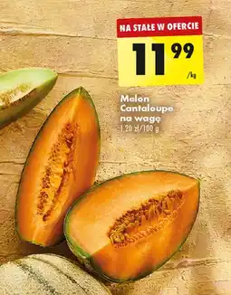 Biedronka Melon oferta