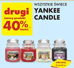 Biedronka WSZYSTKIE ŚWIECE YANKEE CANDLE oferta