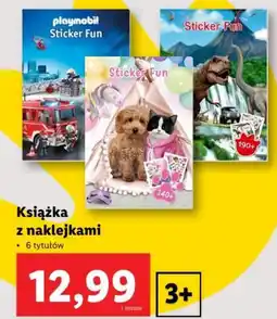 Lidl playmobil Książka z naklejkami oferta