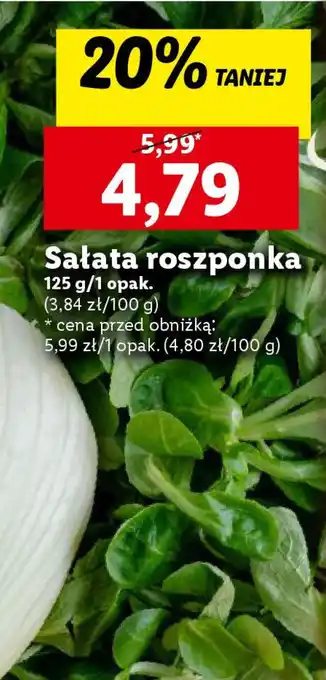 Lidl Sałata roszponka 125 g oferta