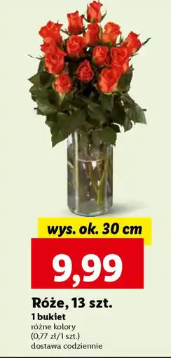 Lidl Róże, 13 szt. oferta