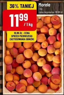 Polomarket Morele oferta