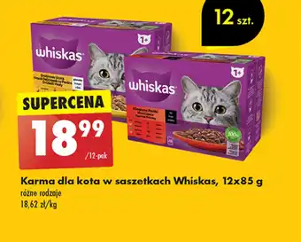 Biedronka Karma dla kota Whiskas oferta