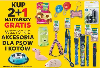 Kaufland WSZYSTKIE AKCESORIA DLA PSÓW I KOTÓW oferta