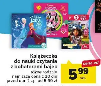 Biedronka Kraina lodu 1 SZT oferta