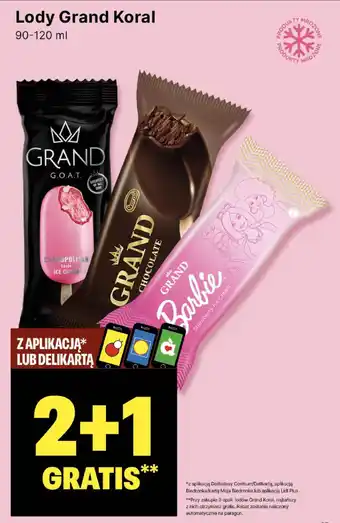 Delikatesy Centrum Lody Grand Koral 90-120 ml oferta