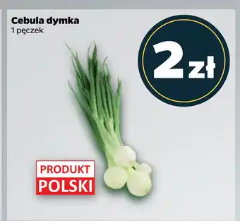 Netto Cebula dymka oferta