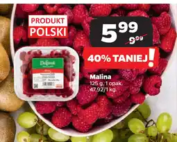 Netto Malina oferta