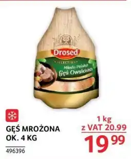 Selgros GĘŚ MROŻONA 1 KG oferta