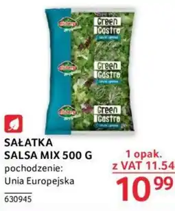 Selgros SAŁATKA SALSA MIX 500 G oferta