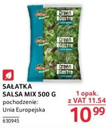 Selgros SAŁATKA SALSA MIX 500 G oferta