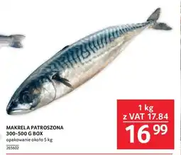 Selgros MAKRELA PATROSZONA 1 KG oferta