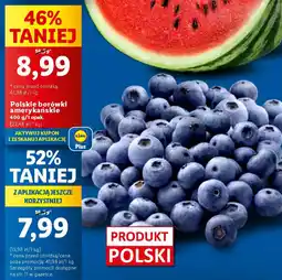 Lidl Polskie borówki amerykańskie 400 g oferta