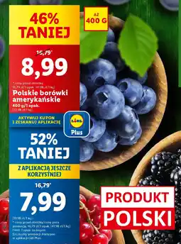Lidl Polskie borówki amerykańskie 400 g oferta