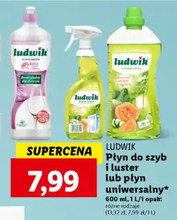 Lidl LUDWIK Płyn do szyb i luster lub płyn uniwersalny 600 ml, 1 L oferta