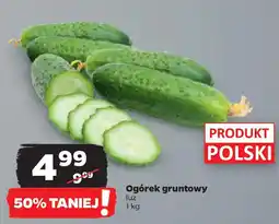 Netto Ogórek gruntowy 1 kg oferta
