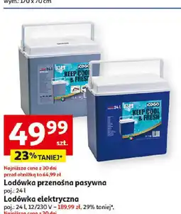 Auchan Lodówka przenośna pasywna 24 l oferta