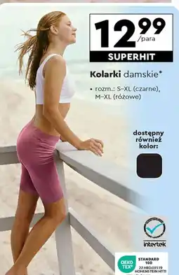 Biedronka Kolarki damskie oferta