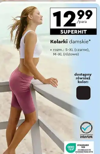 Biedronka Kolarki damskie oferta