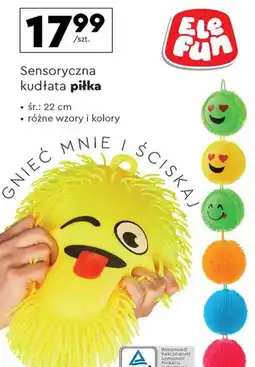 Biedronka Sensoryczna kudłata piłka oferta